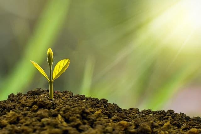 Jenis Investasi yang Bisa Dipilih Pemula di Indonesia